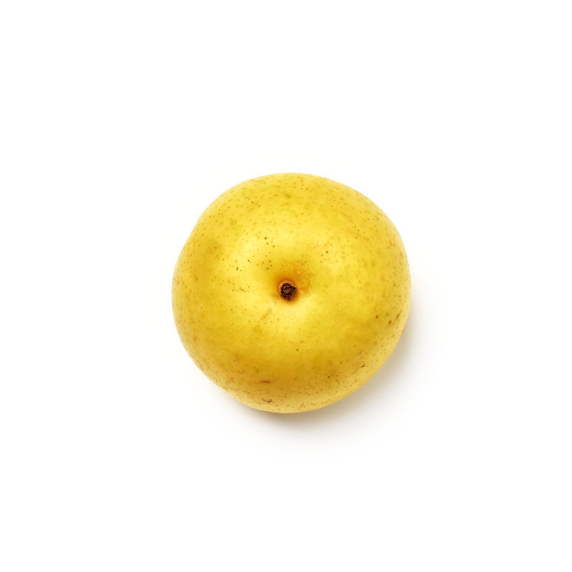 medium nashi pear icon