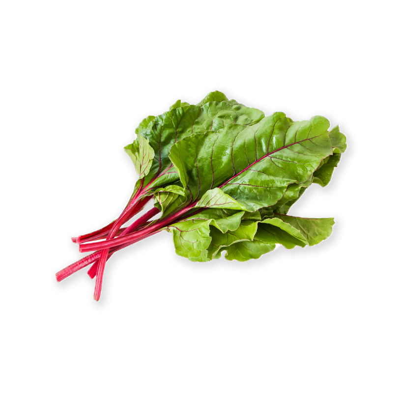 Swiss chard leaves icon
