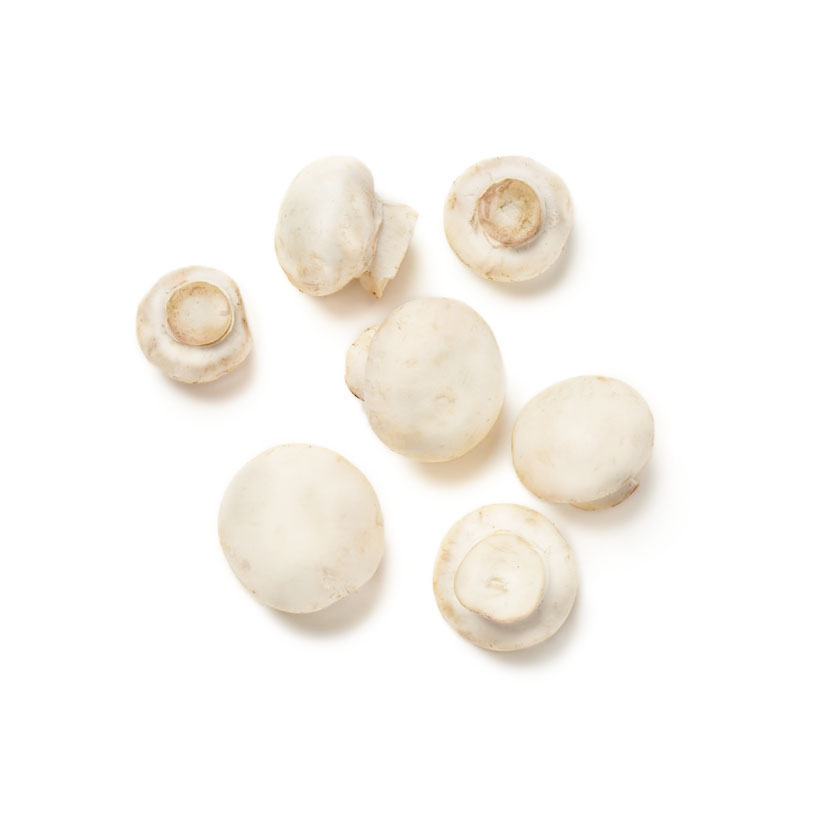 small white mushrooms icon