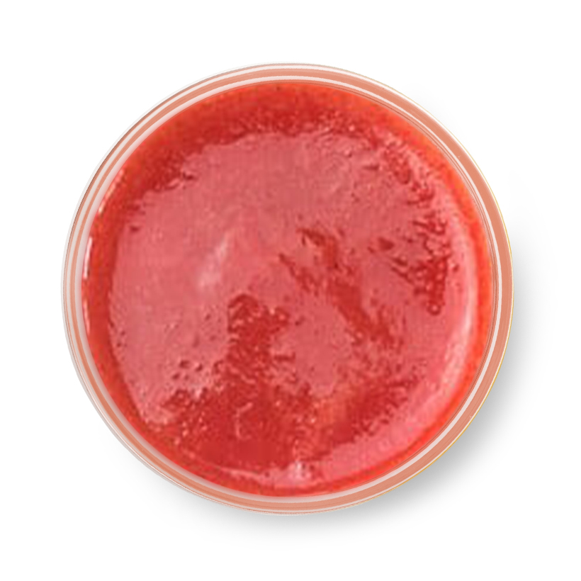 strawberry puree icon