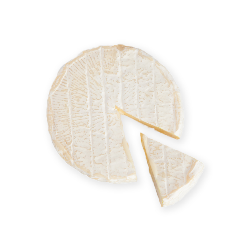 brie-Käse icon