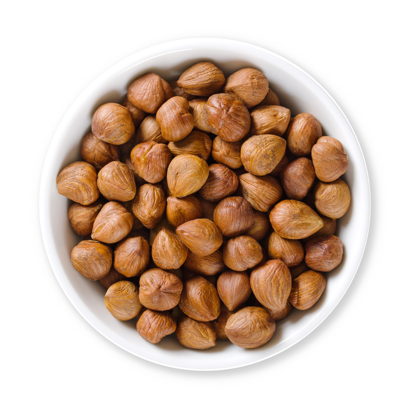 toasted hazelnuts icon