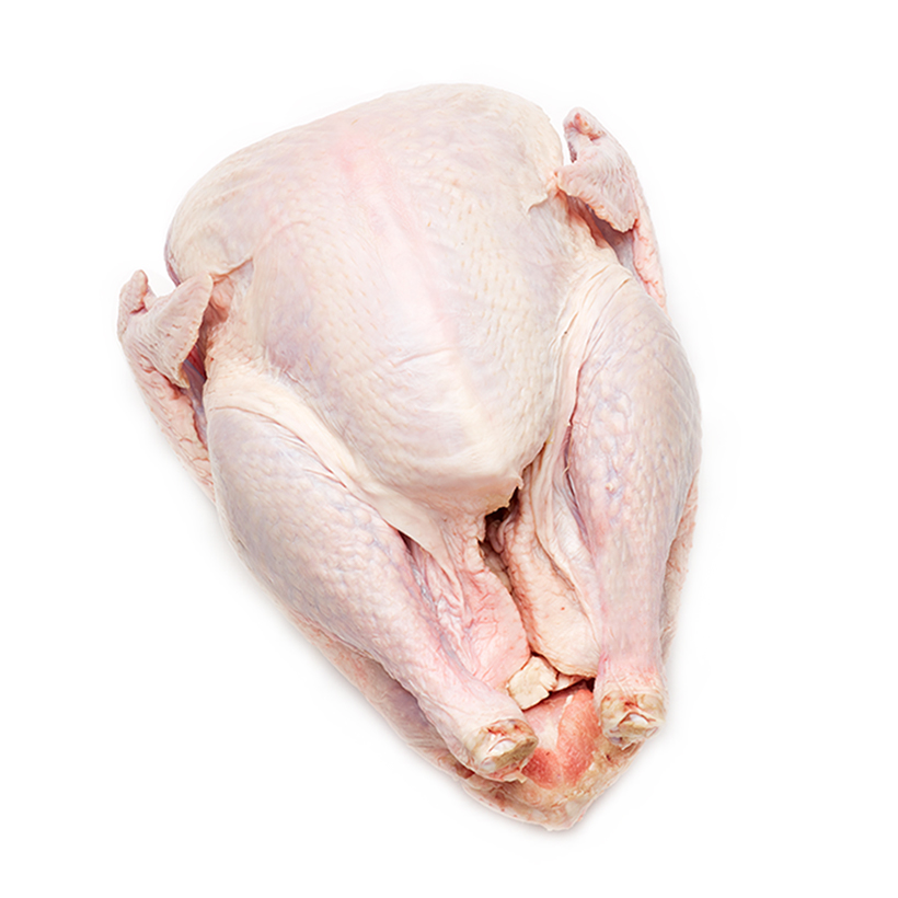 whole turkey icon