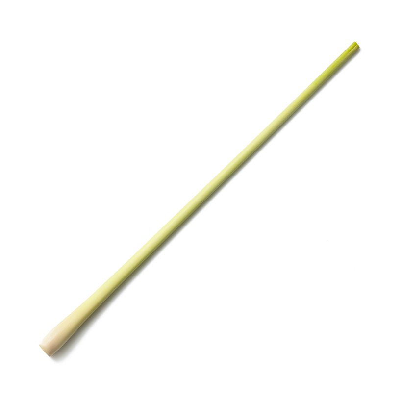 lemongrass stalk icon