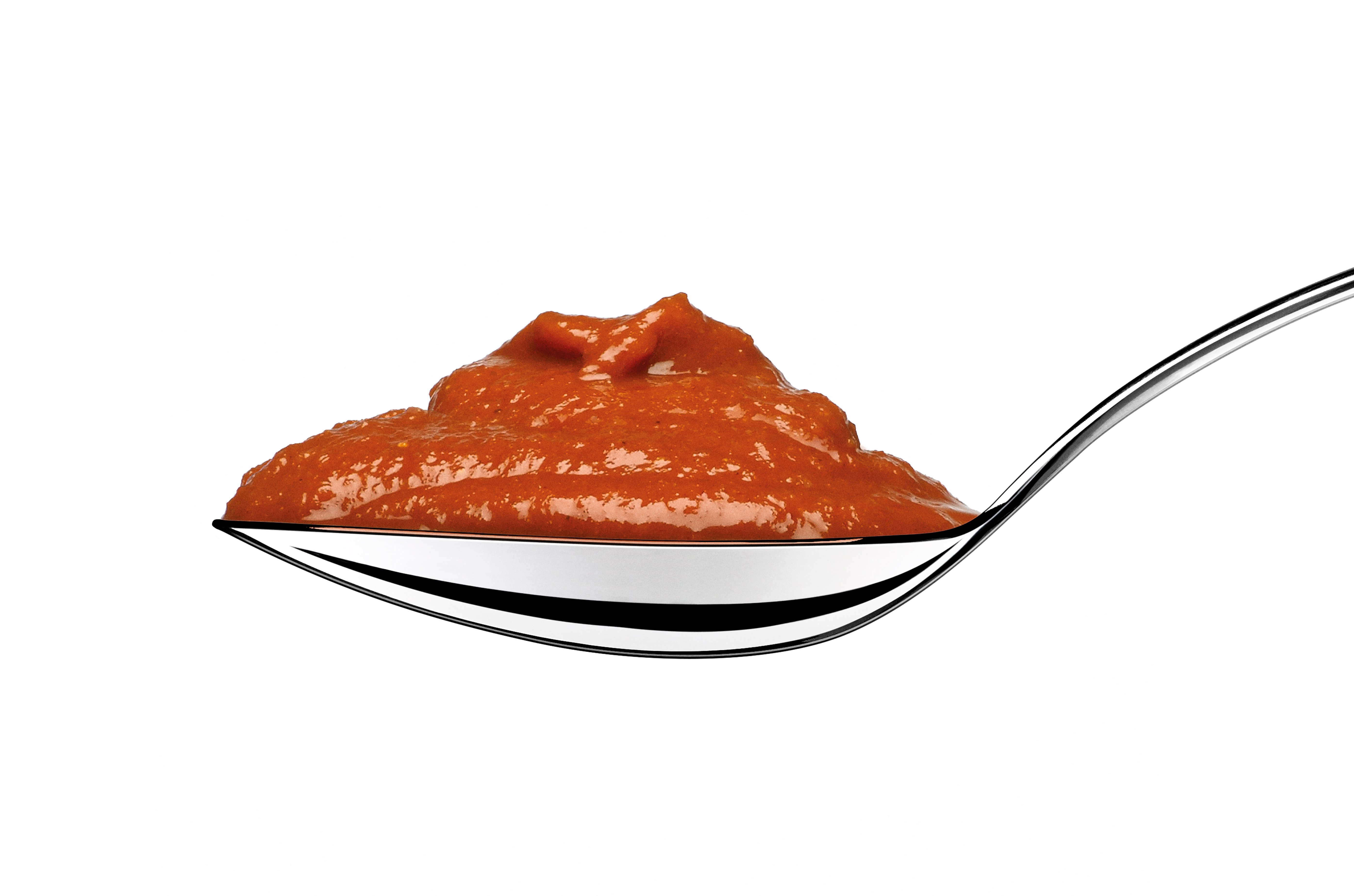 Essential Spicy Barbecue Sauce