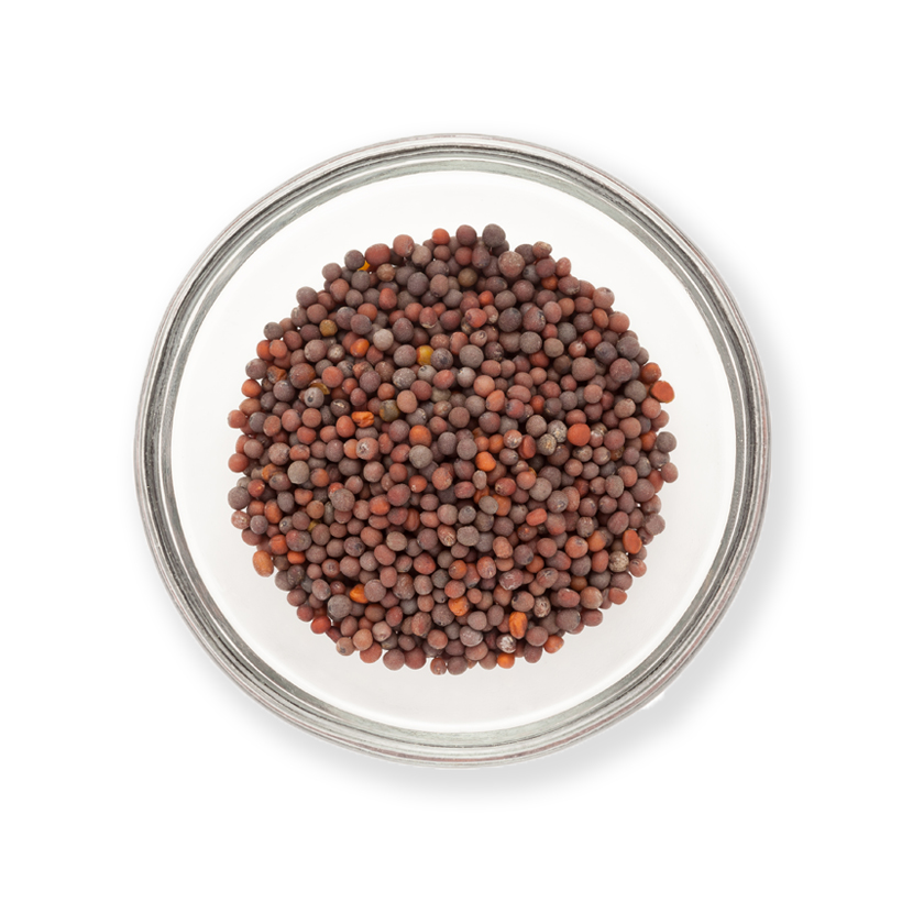 brown mustard seeds icon