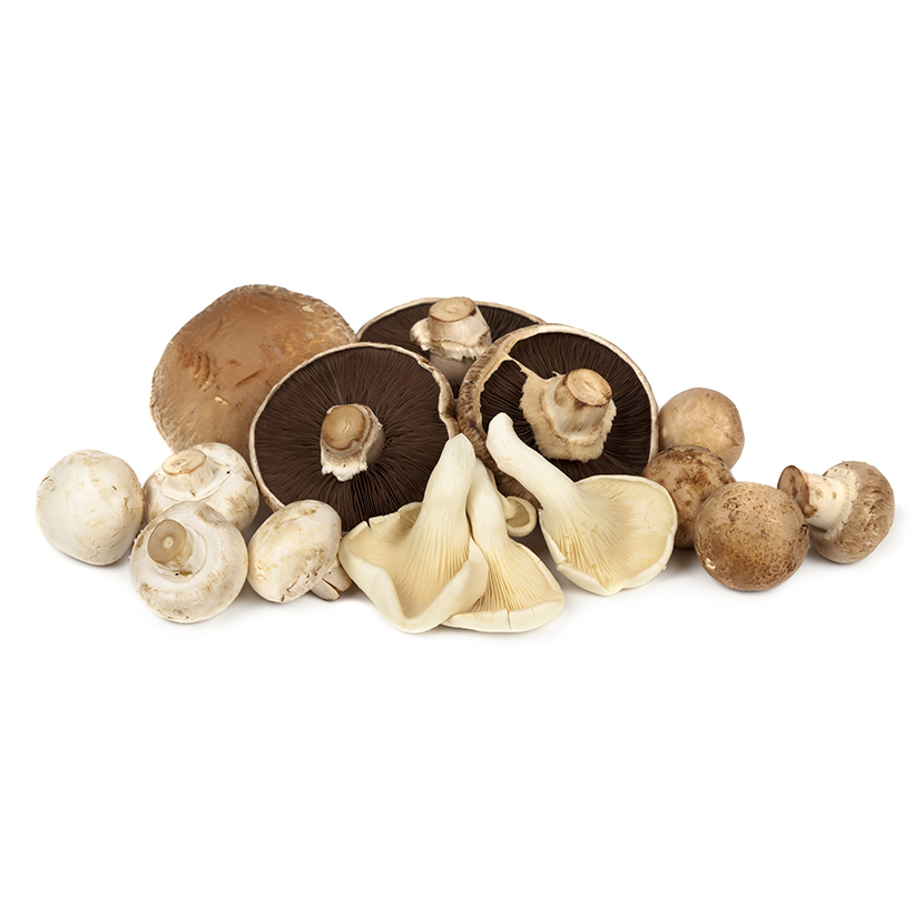 mixed mushrooms icon