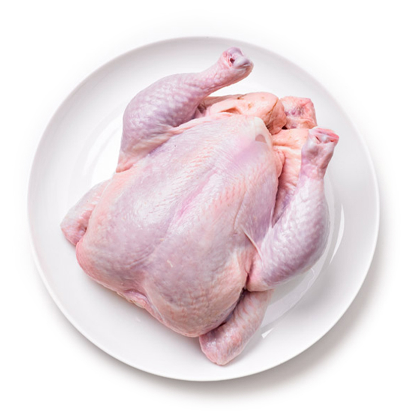 whole chicken icon