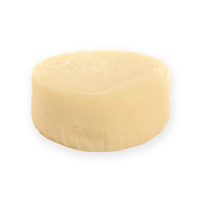 provolone cheese icon
