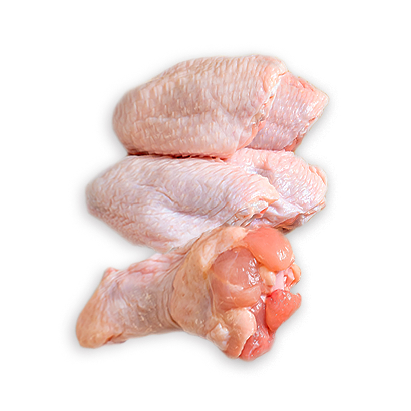 chicken wing drumettes and flats (party wings) icon