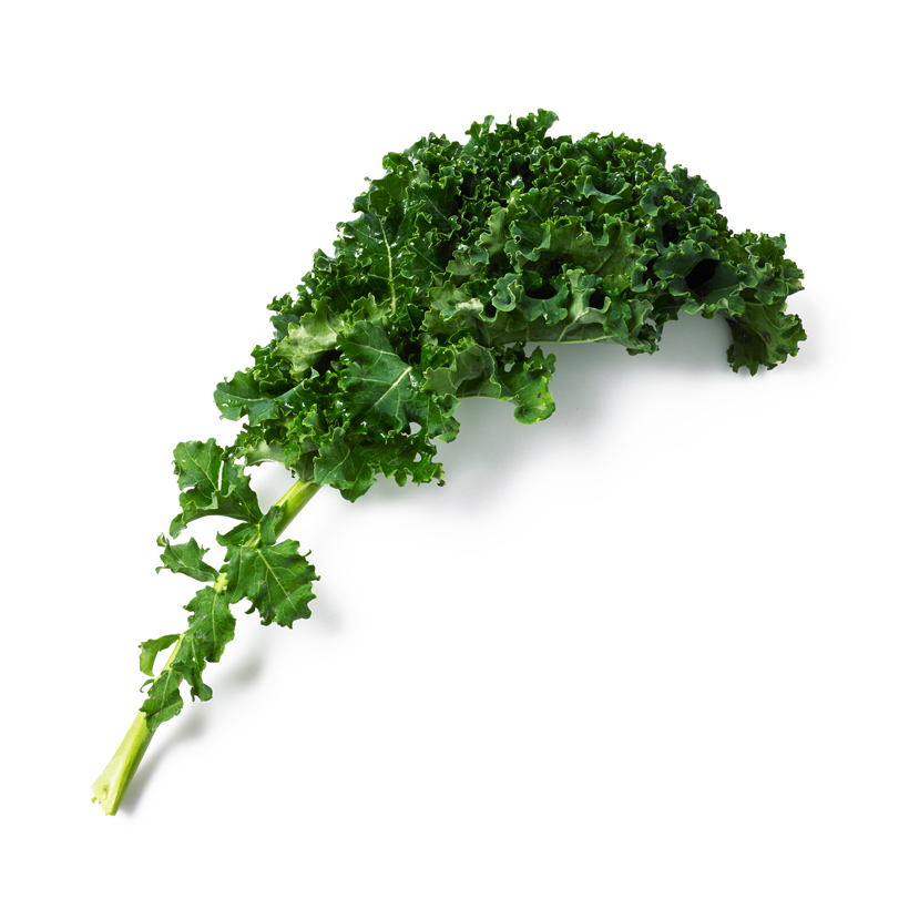 purple or green kale leaf icon