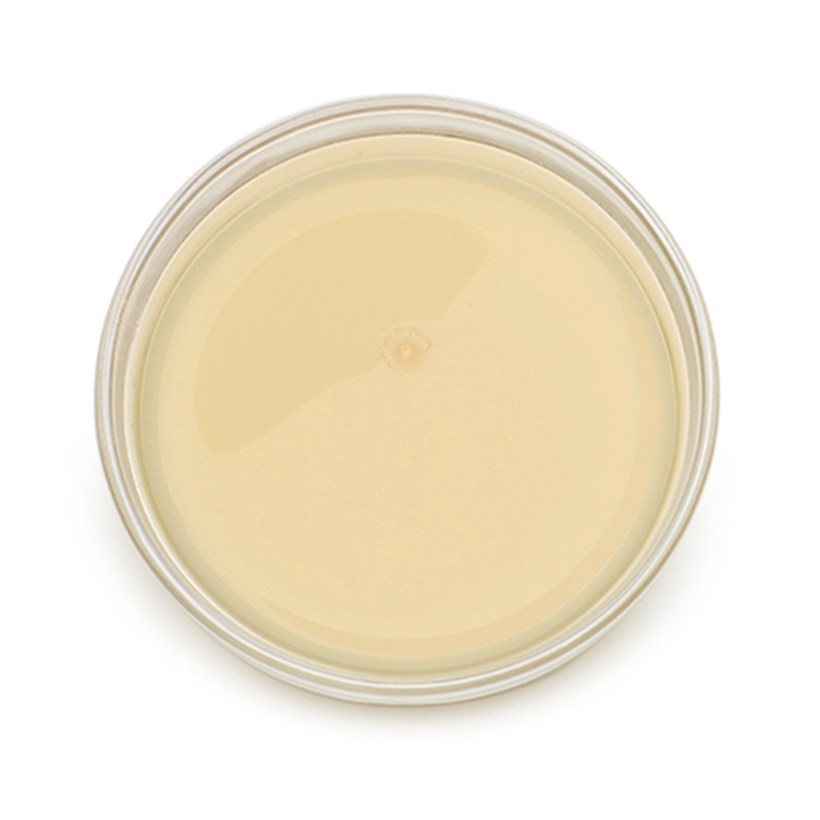 sweetened condensed milk icon