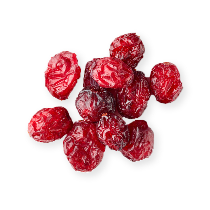 dried cranberries icon