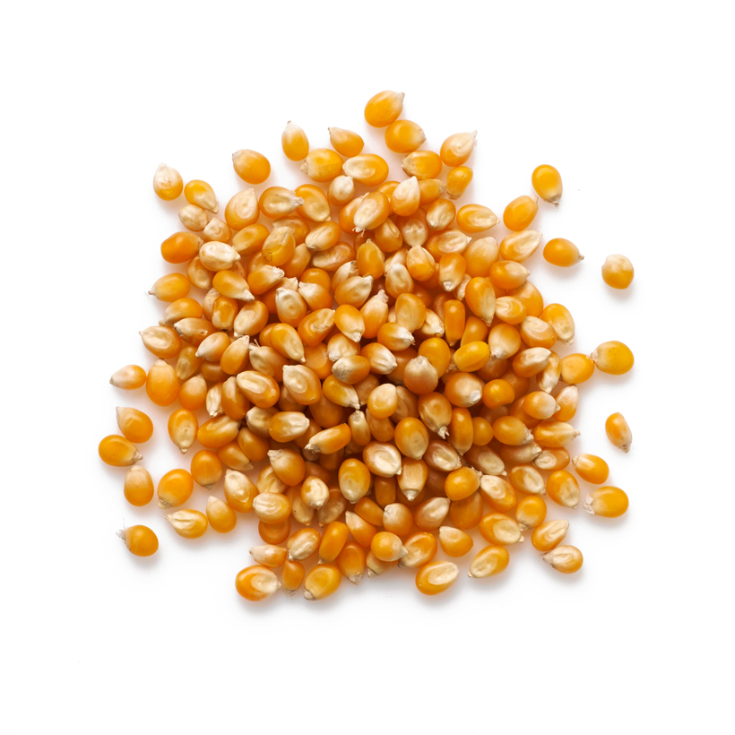 popcorn kernels icon