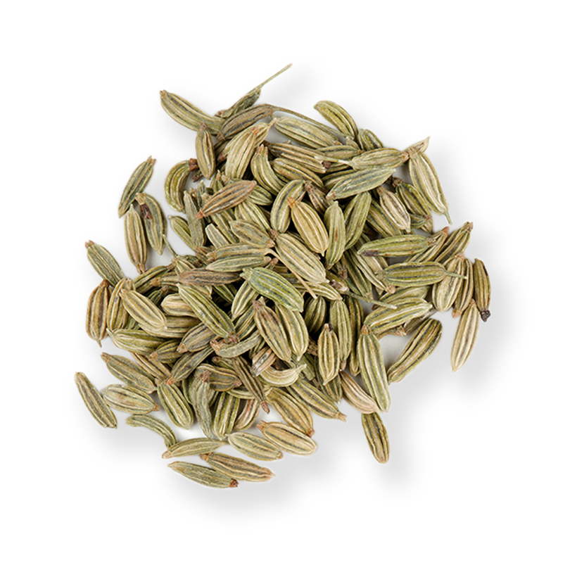 fennel seeds icon