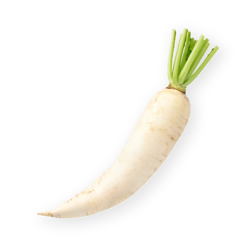 radis daicon icon