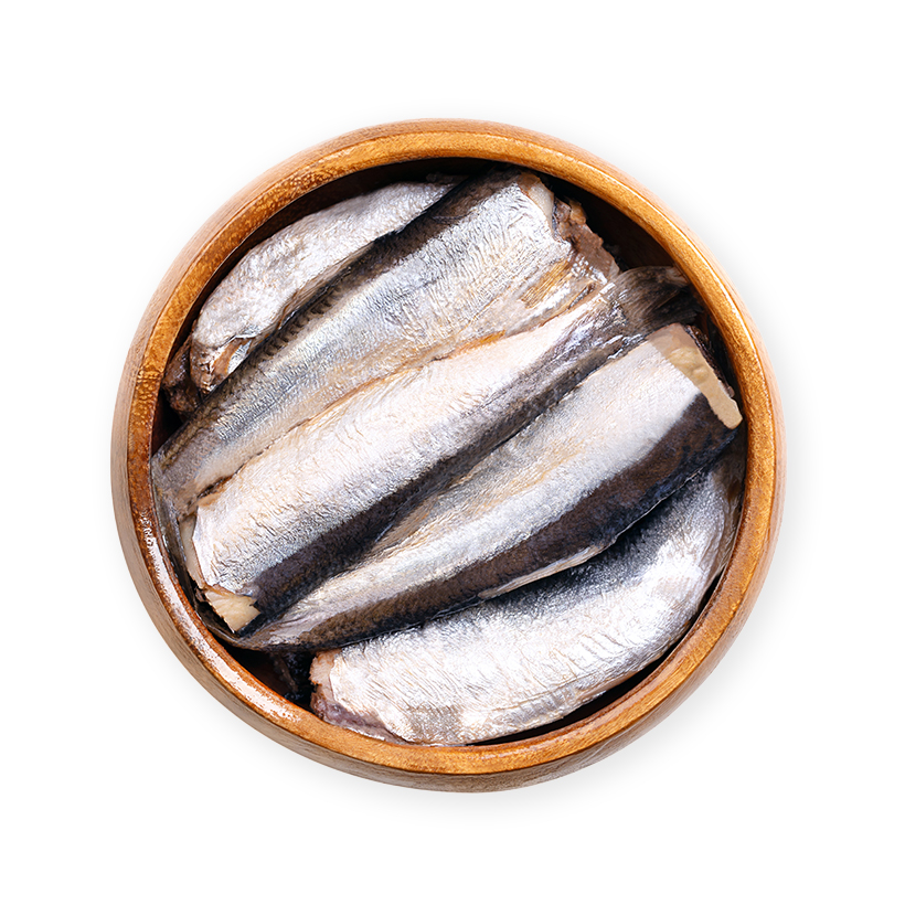 can sardines in olive oil icon