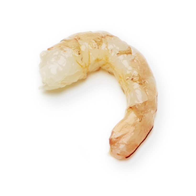 small uncooked peeled shrimp icon