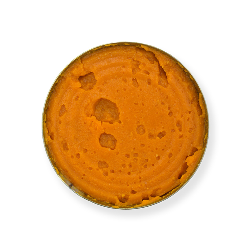 can pumpkin icon