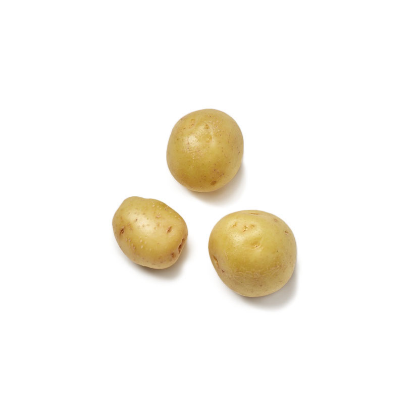 small-medium yellow or white potato icon