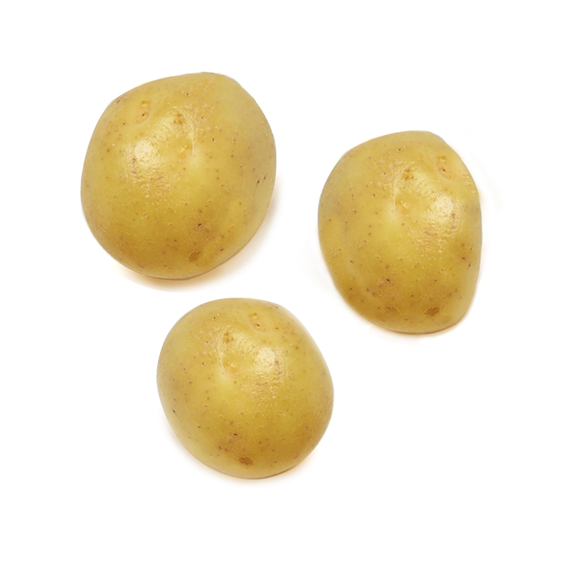 medium potato icon