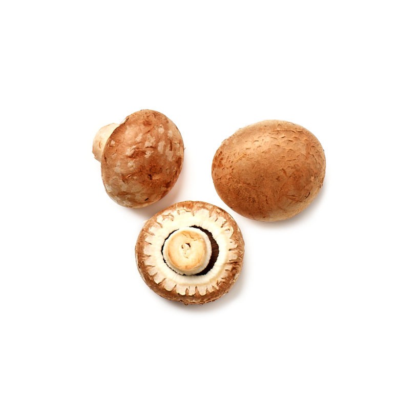 Portobello-Pilz icon