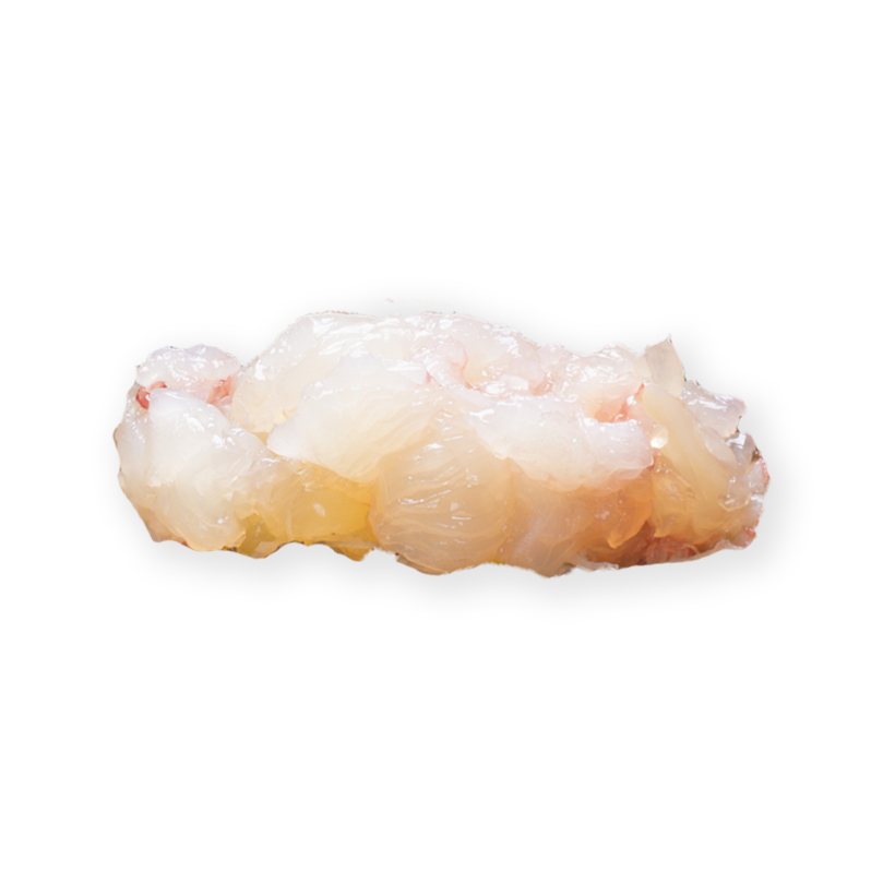 raw lobster meat icon