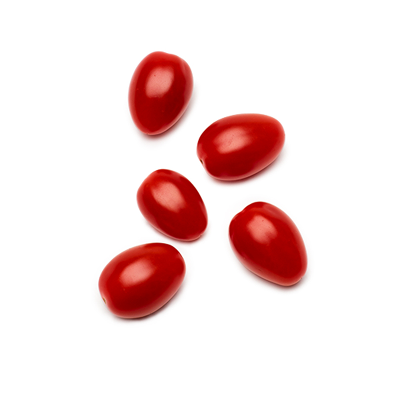 grape tomato icon