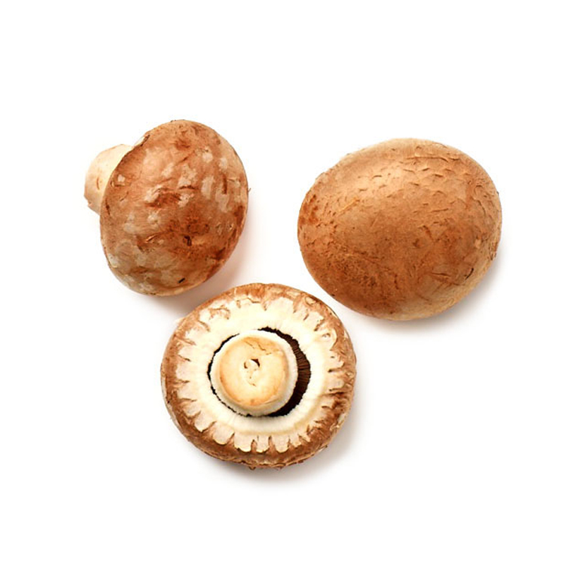 baby bella mushrooms icon