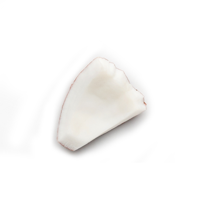 chair de jeune noix de coco fraîche, hachée icon