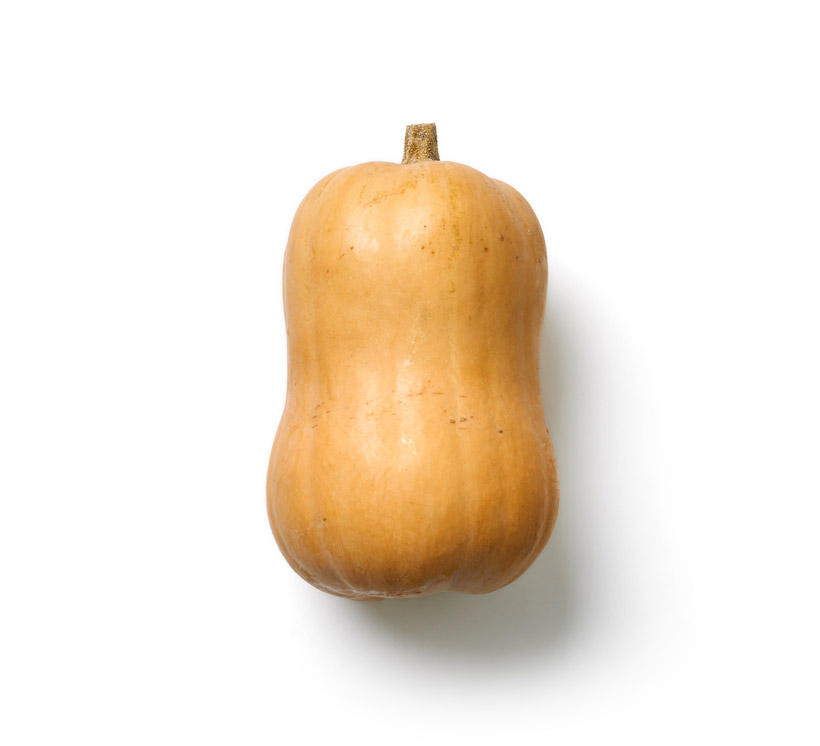 butternut squash icon