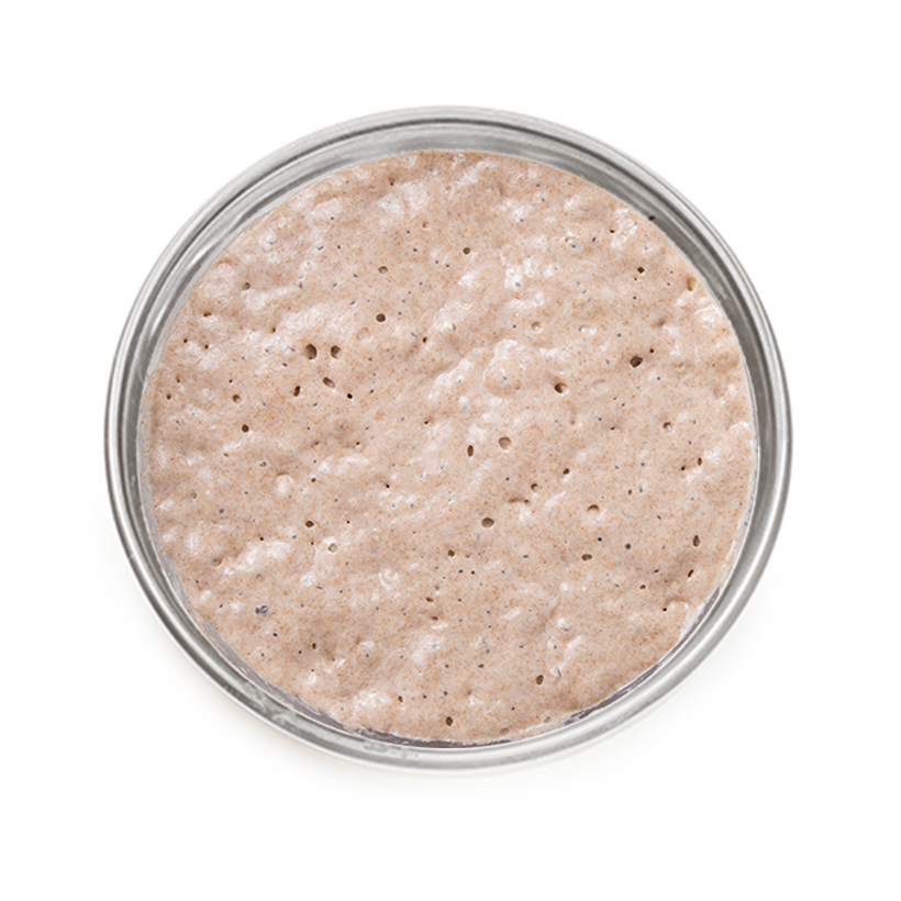 Essential Sourdough Starter or fresh store-bought sourdough starter icon