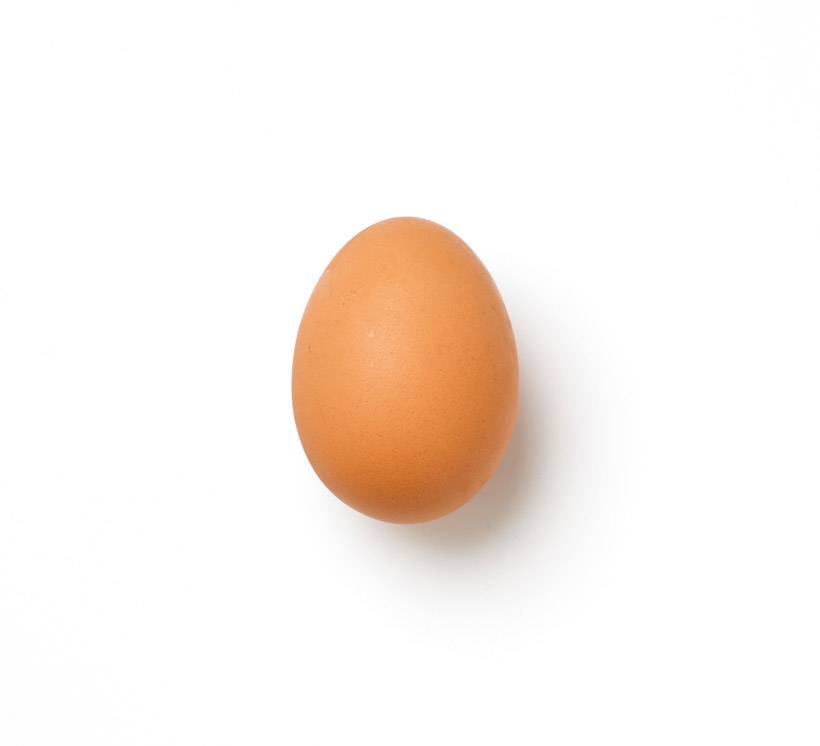 pasteurized egg whites icon