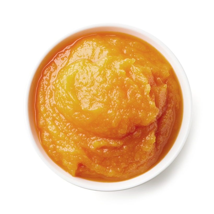 pumpkin puree icon