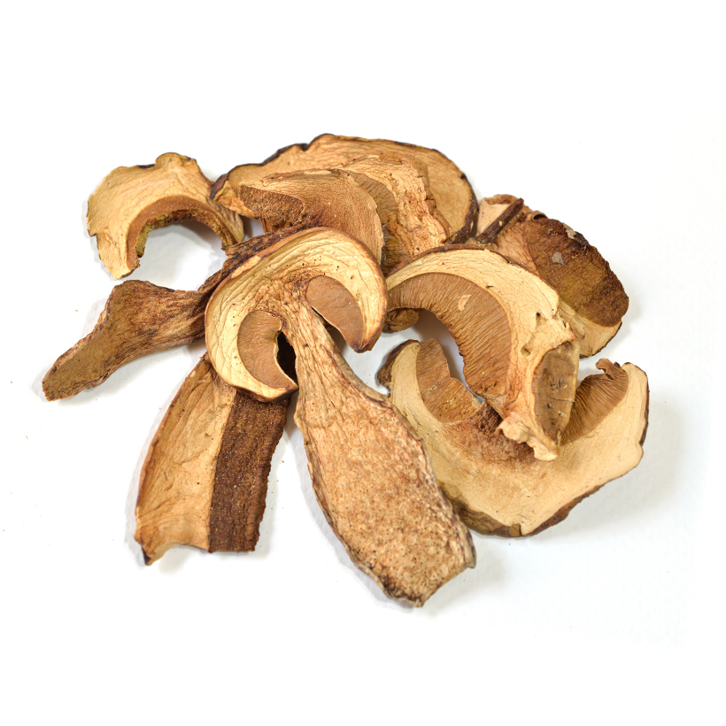dried porcini mushrooms icon