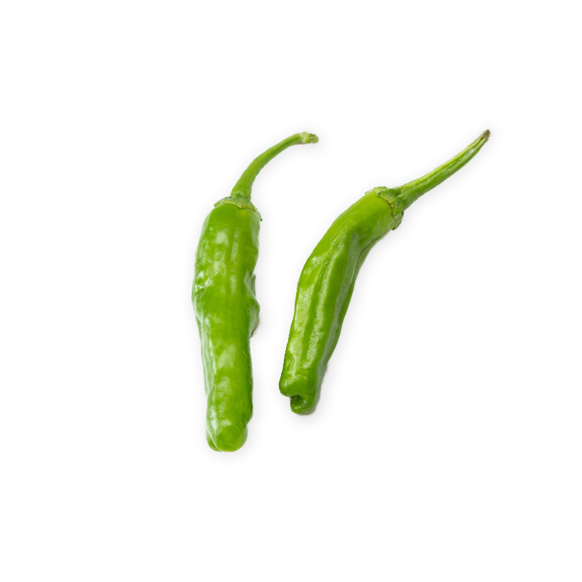 bullhorn pepper icon