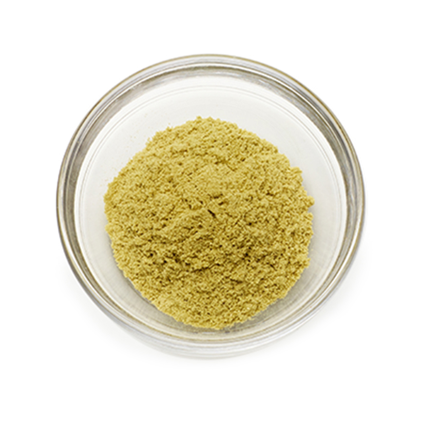 ground fennel icon