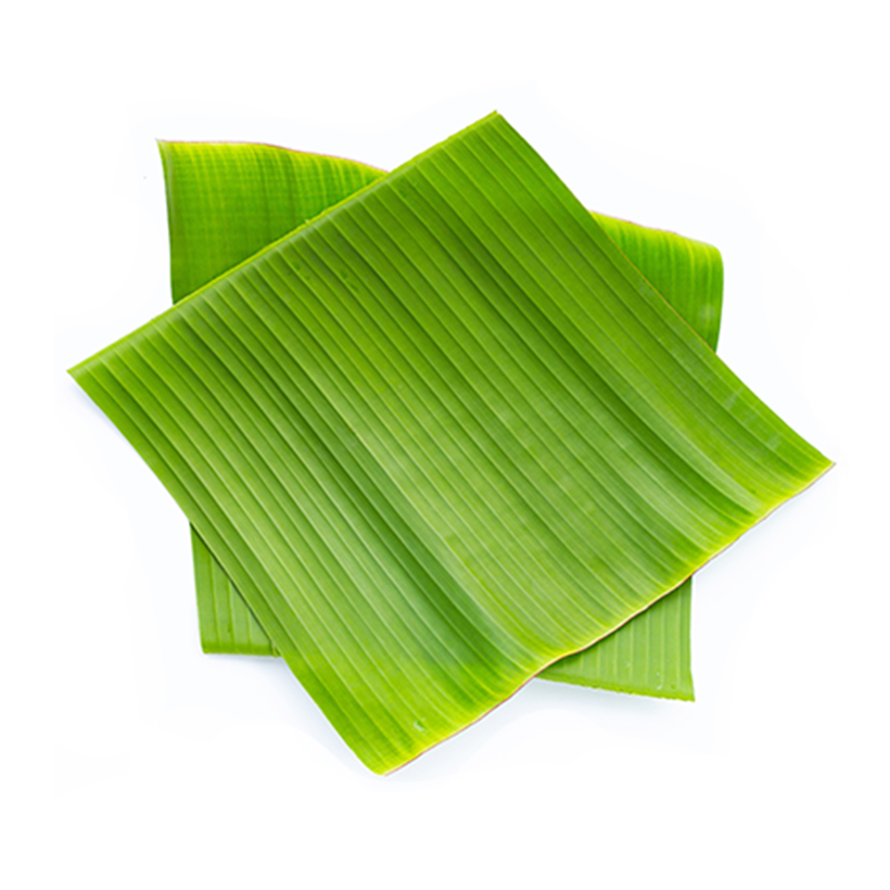 banana leaf 10-inch x 5-inch icon