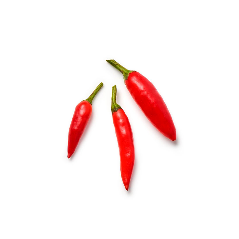 Vogelaugenchili icon