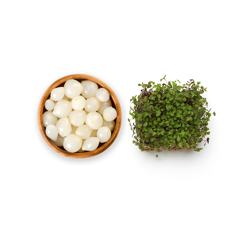 Pickled onions and micro herbs icon