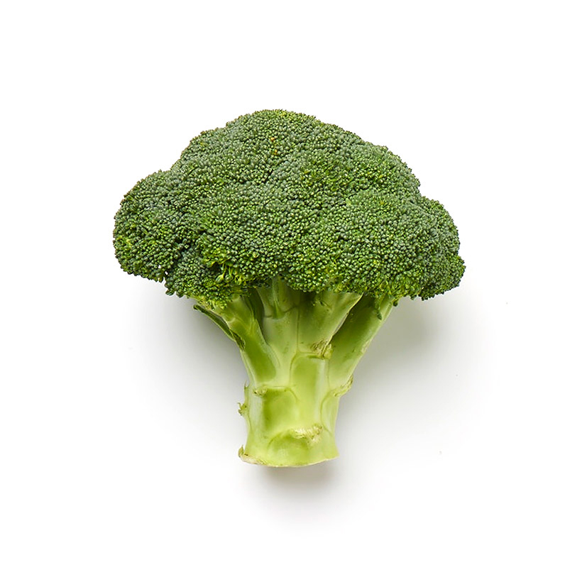 broccoli icon