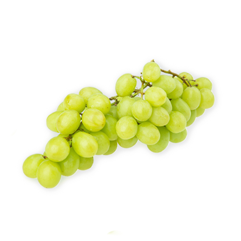 green seedless grapes icon