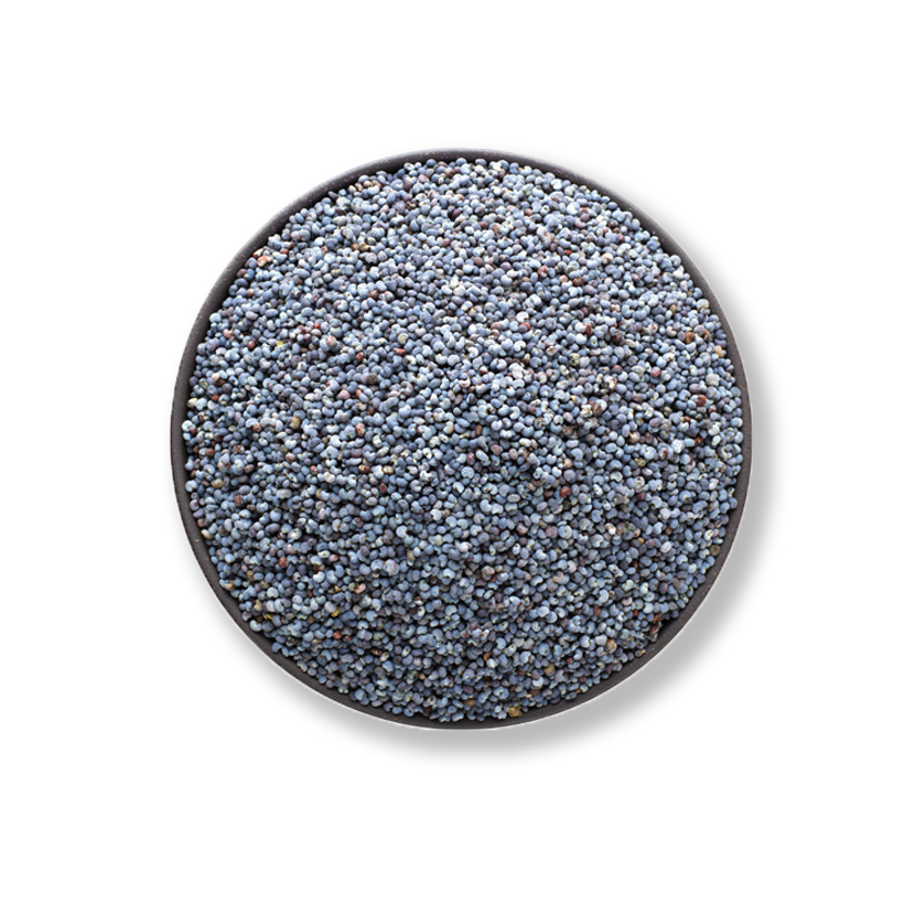 poppy seeds icon