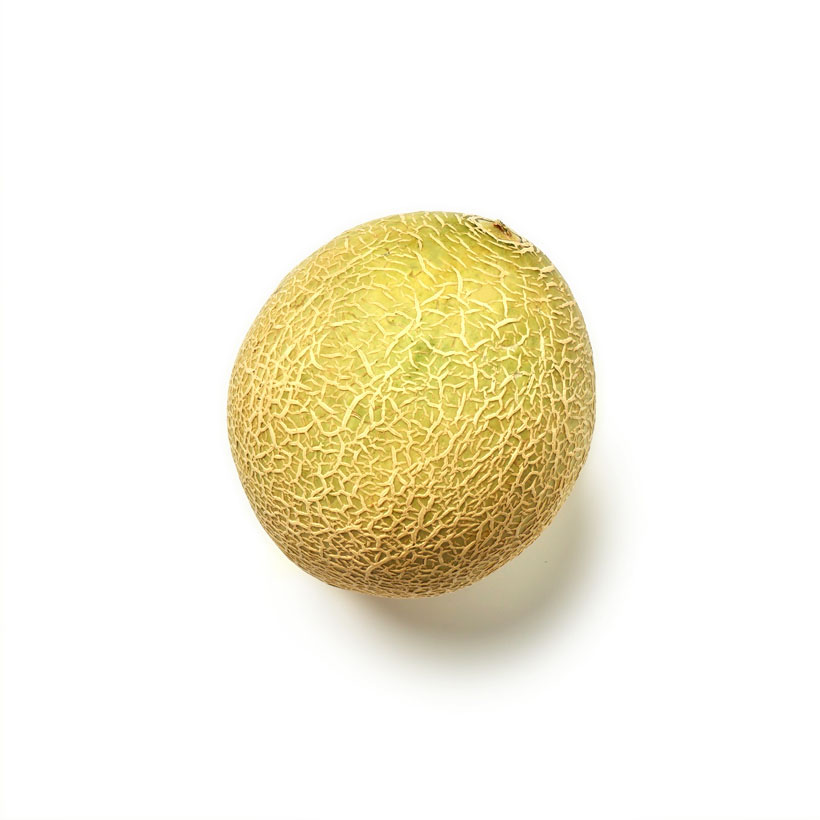 cantaloupe icon