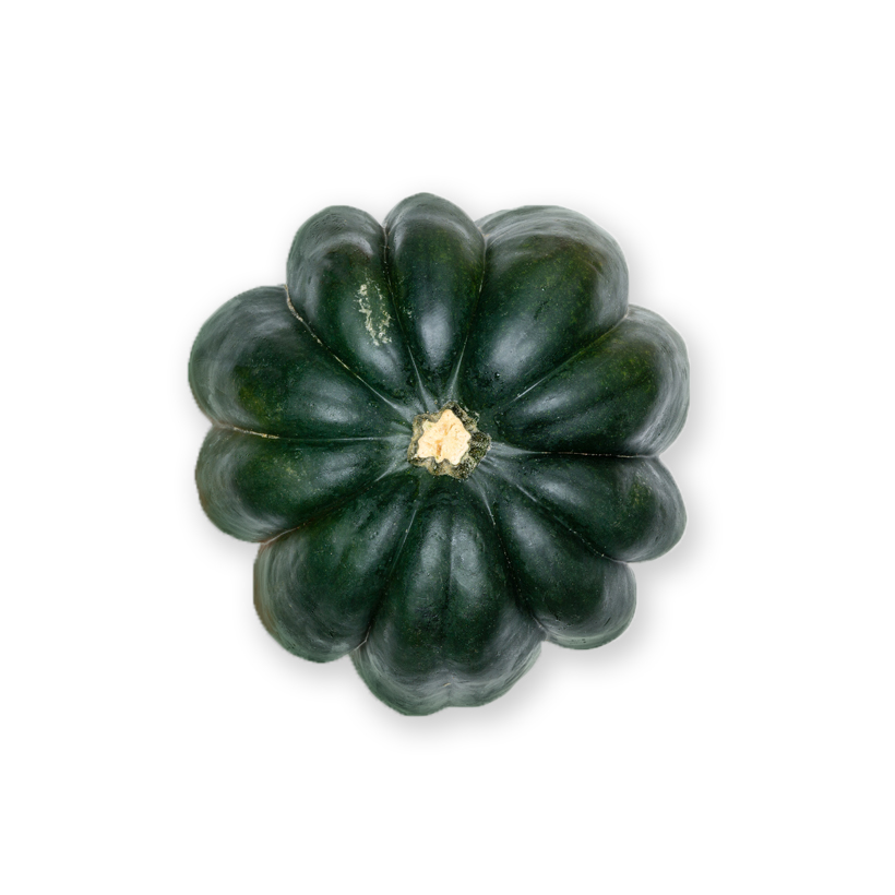medium acorn squash icon