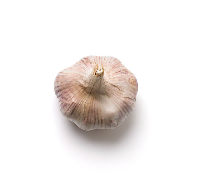 whole garlic bulb icon