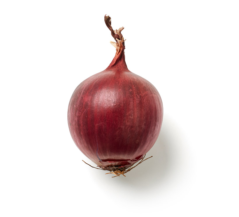 rote Zwiebel icon