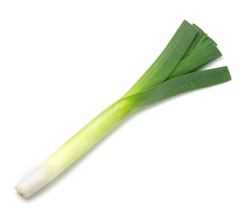 leek icon