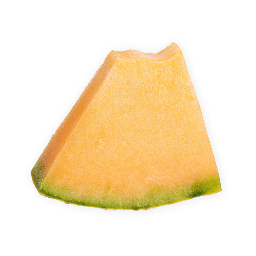 rockmelon slice icon
