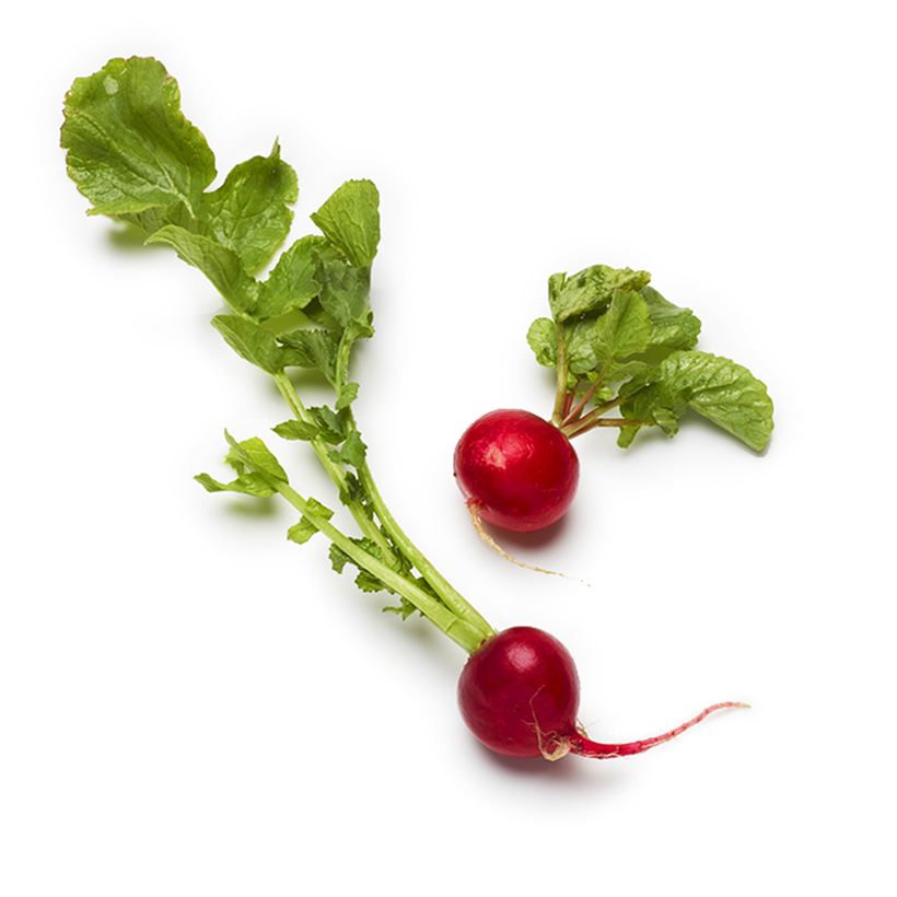 Radieschen icon
